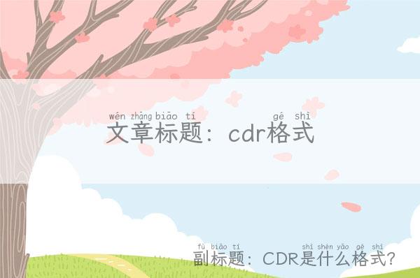 cdr格式(CDR是什么格式？)