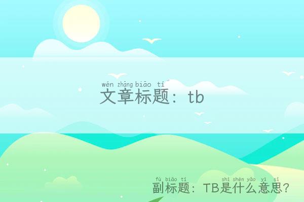 tb,TB是什么意思？