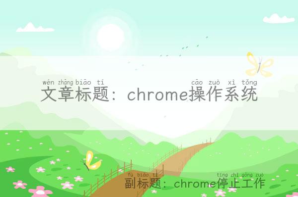 chrome操作系统 chrome停止工作